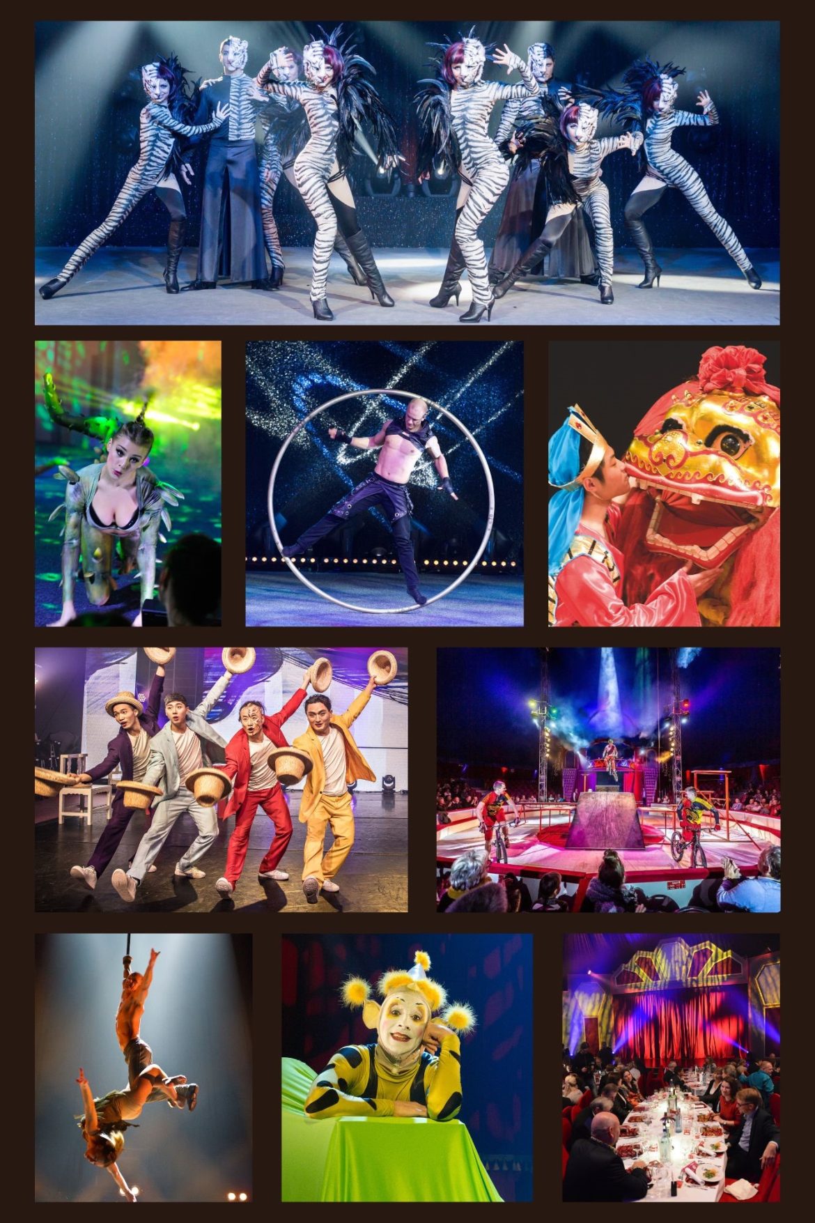 Dresden entertainment