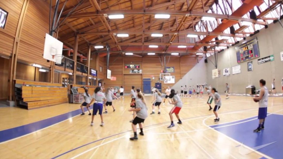 Basketball Training
